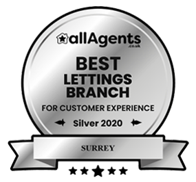 allagents awarditem-image20 silver