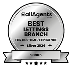 allagents awarditem-image24 silver